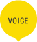 VOICE